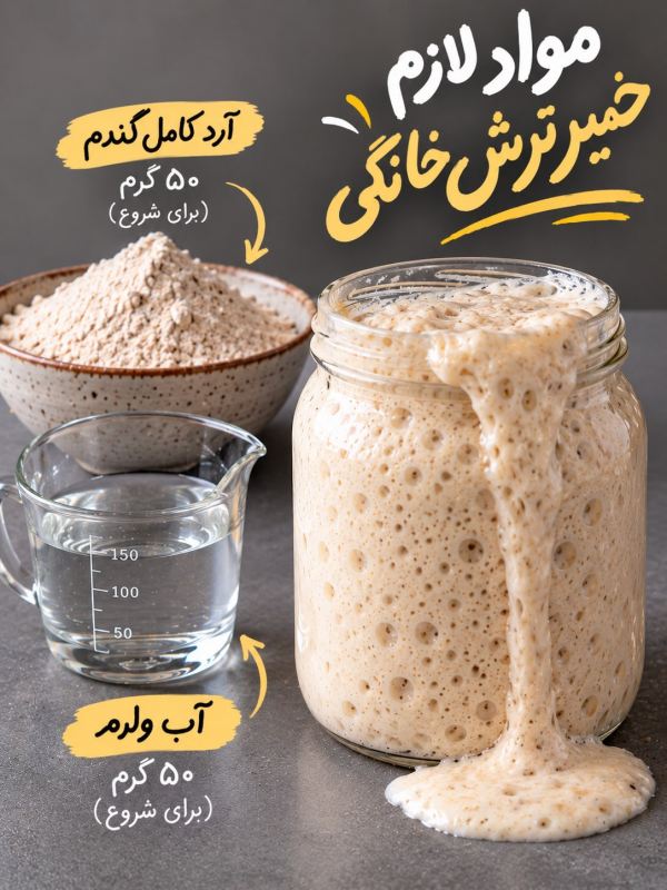 طرز تهیه خمیر ترش خانگی فقط با آرد و آب؛ برای پخت انواع نان