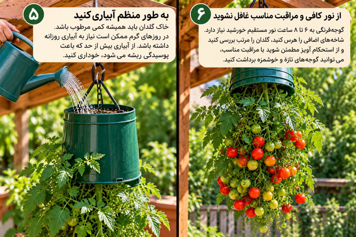 آموزش کاشت وارونه گوجه فرنگی؛ ایده ای جذاب برای خانه های آپارتمانی