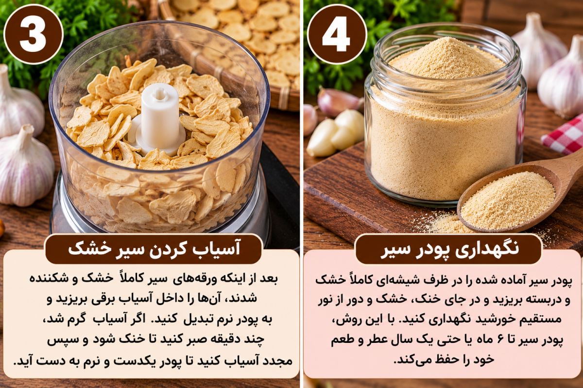 طرز تهیه پودر سیر خانگی؛ سفید، خوش بو و بدون مواد افزودنی
