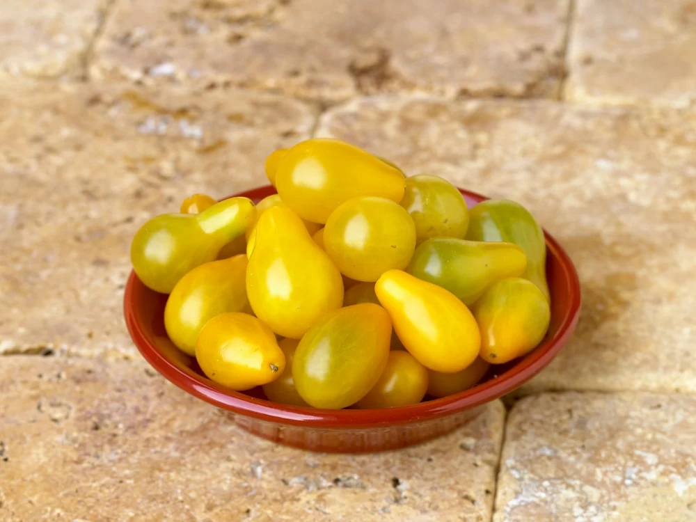 نگهداری گوجه گلابی