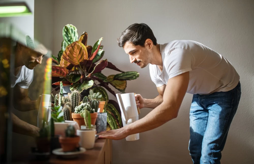 زمانبندی صحیح آبیاری گیاهان