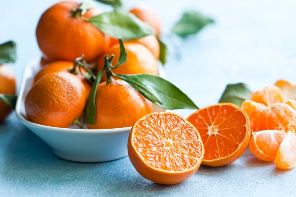  پرورش نارنگی یافا 