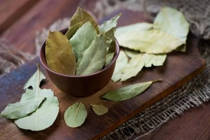 کاربردهای برگ بو در آشپزی
