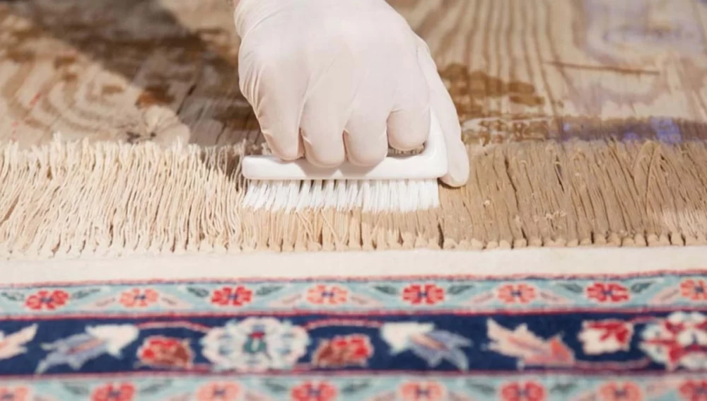 جلوگیری از ورود سوسک فرش