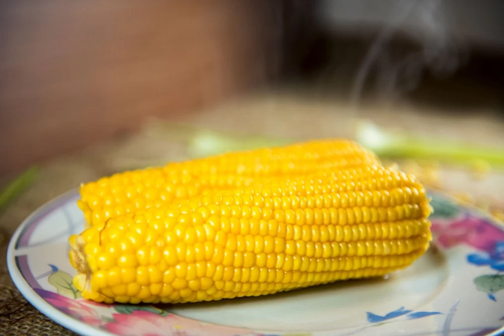 چگونه ذرت را با زودپز بپزیم؟