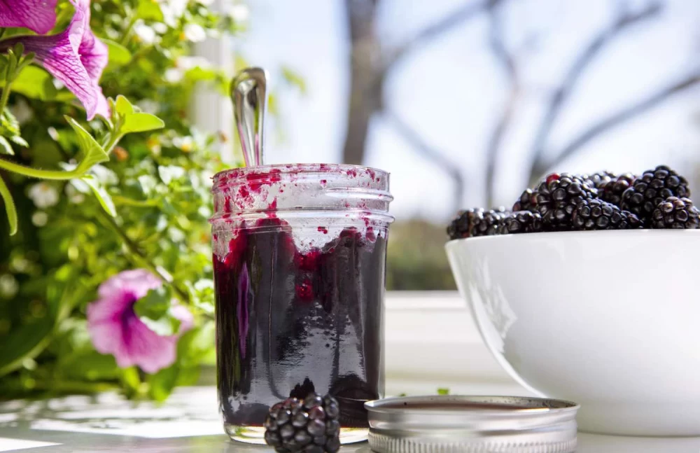 بهترین ترکیبات برای مصرف شیره توت