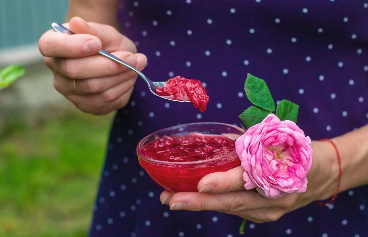 گل محمدی برای تهیه مربا