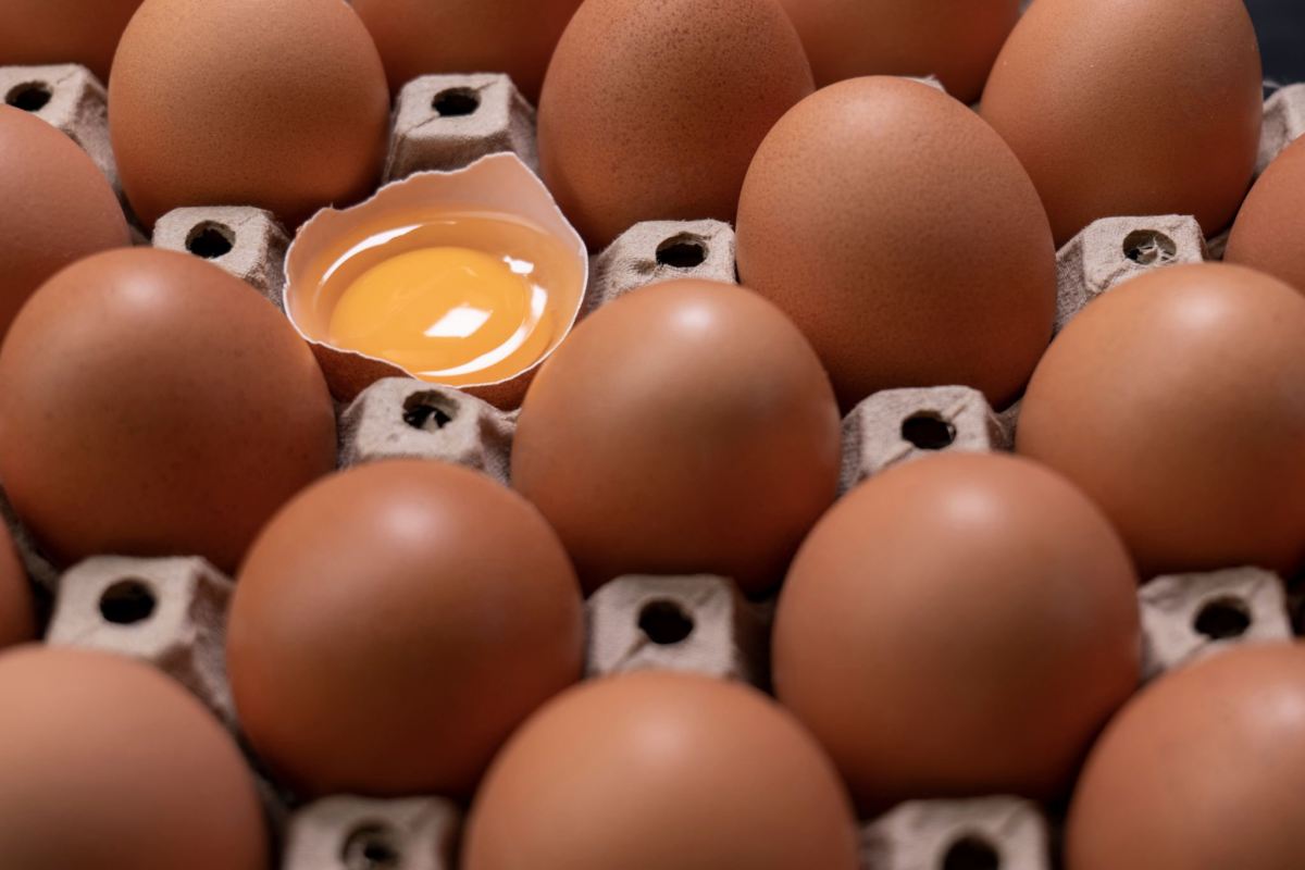 نگهداری تخم مرغ ترک خورده