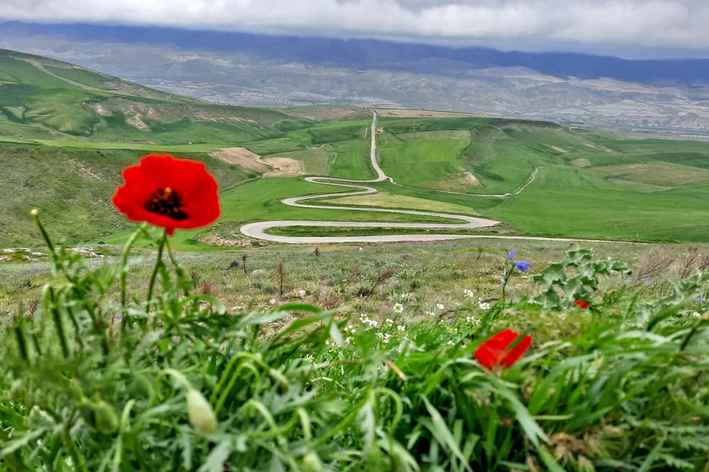 مراوه تپه