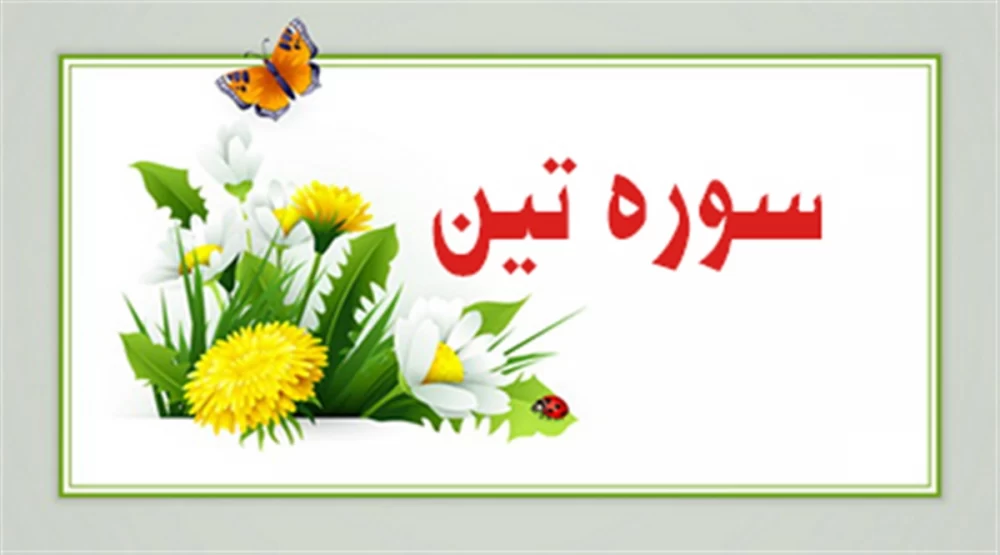 سوره تین به زبان ساده: تفسیر، ترجمه و فضیلت خواندن
