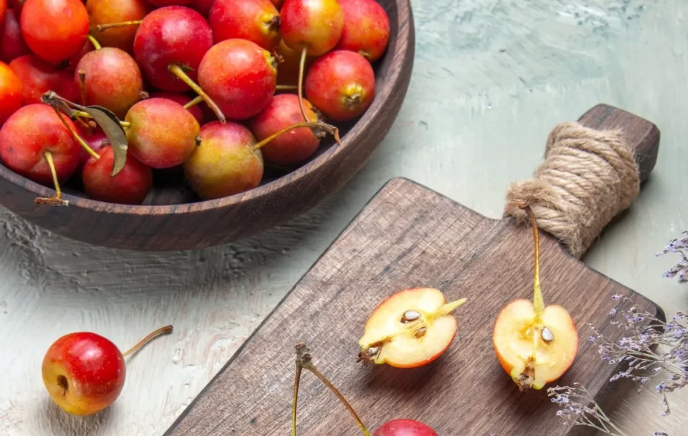 خواص زالزالک