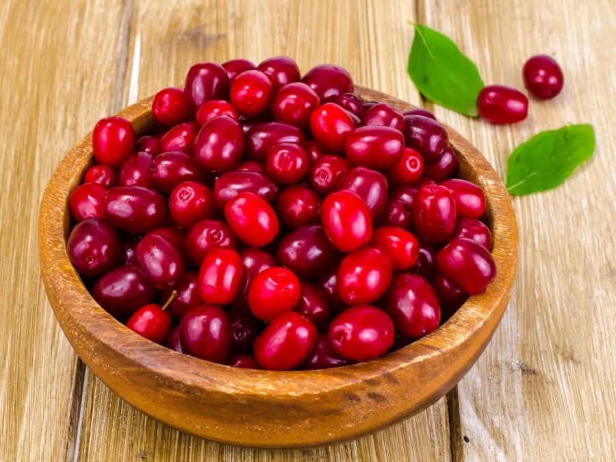 میوه زغال اخته