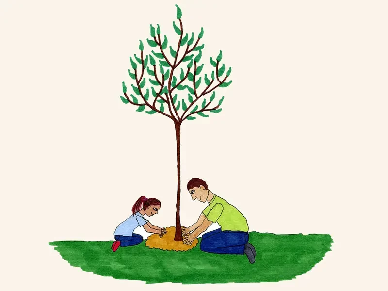 شعر کو.دکانه