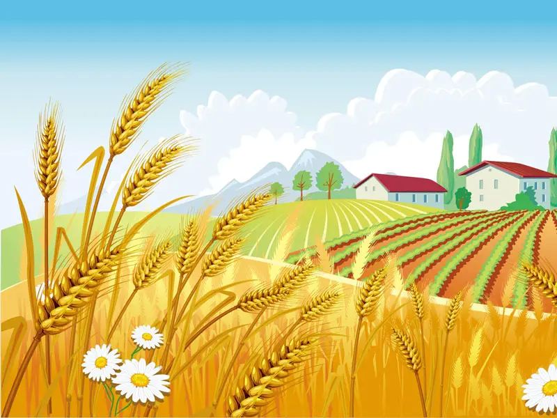 شعر کودکانه