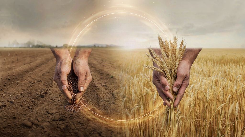 معنی ضرب المثل