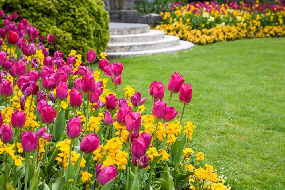 عکس باغچه