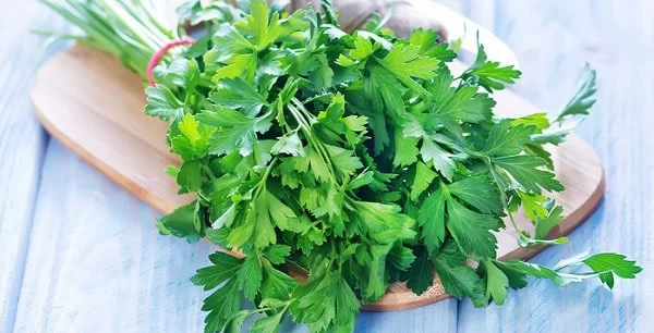 لیست غذا با جعفری