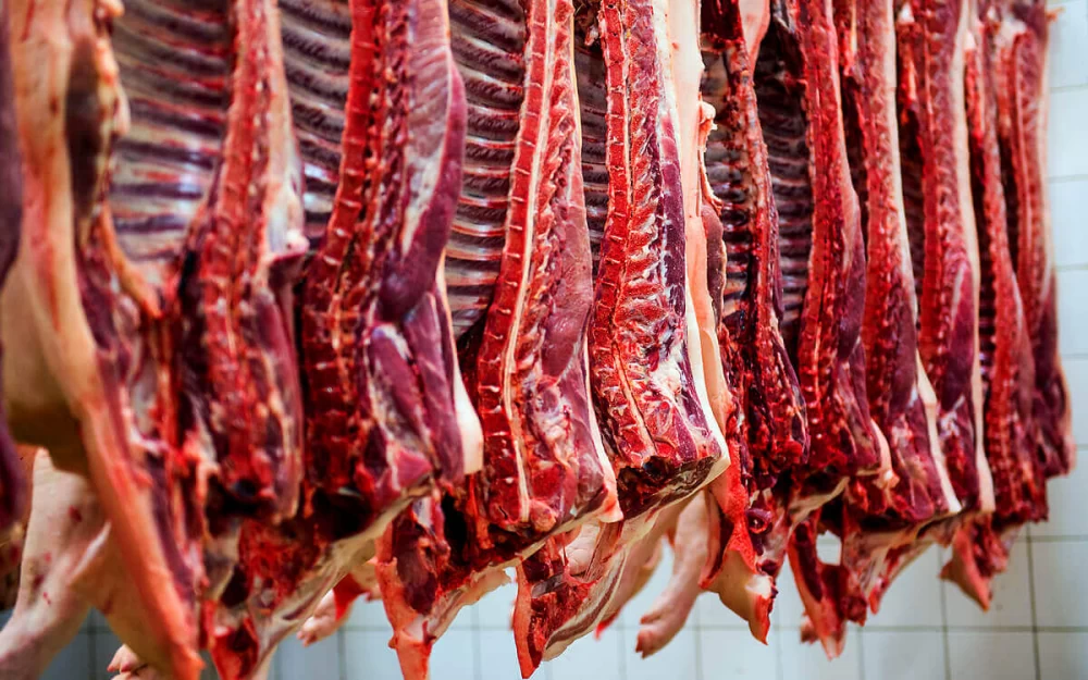طبع و مصلحات گوشت گوساله