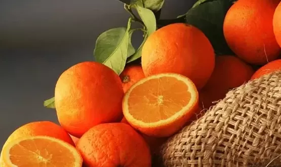 لیست میوه و آبمیوه های زمستانی