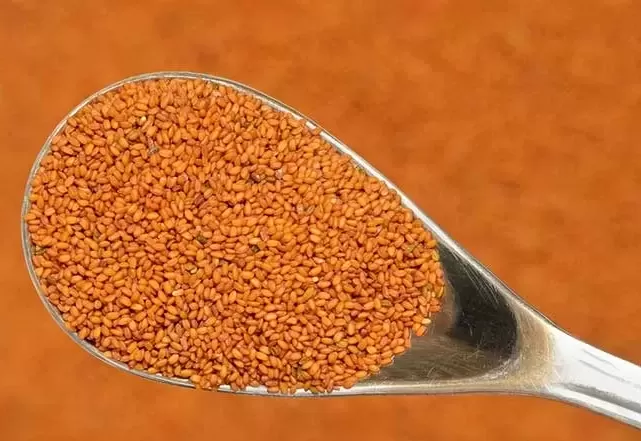 کالری خاکشیر