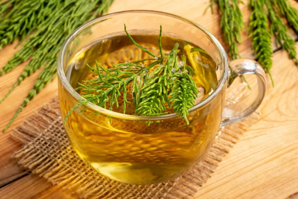 بهترین دمنوش برای تکرر ادرار