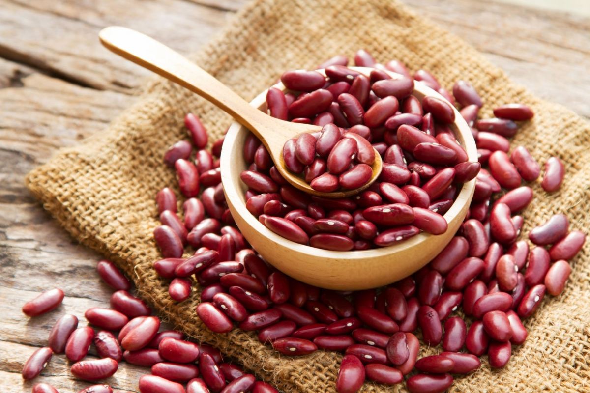کالری و ارزش غذایی لوبیا قرمز