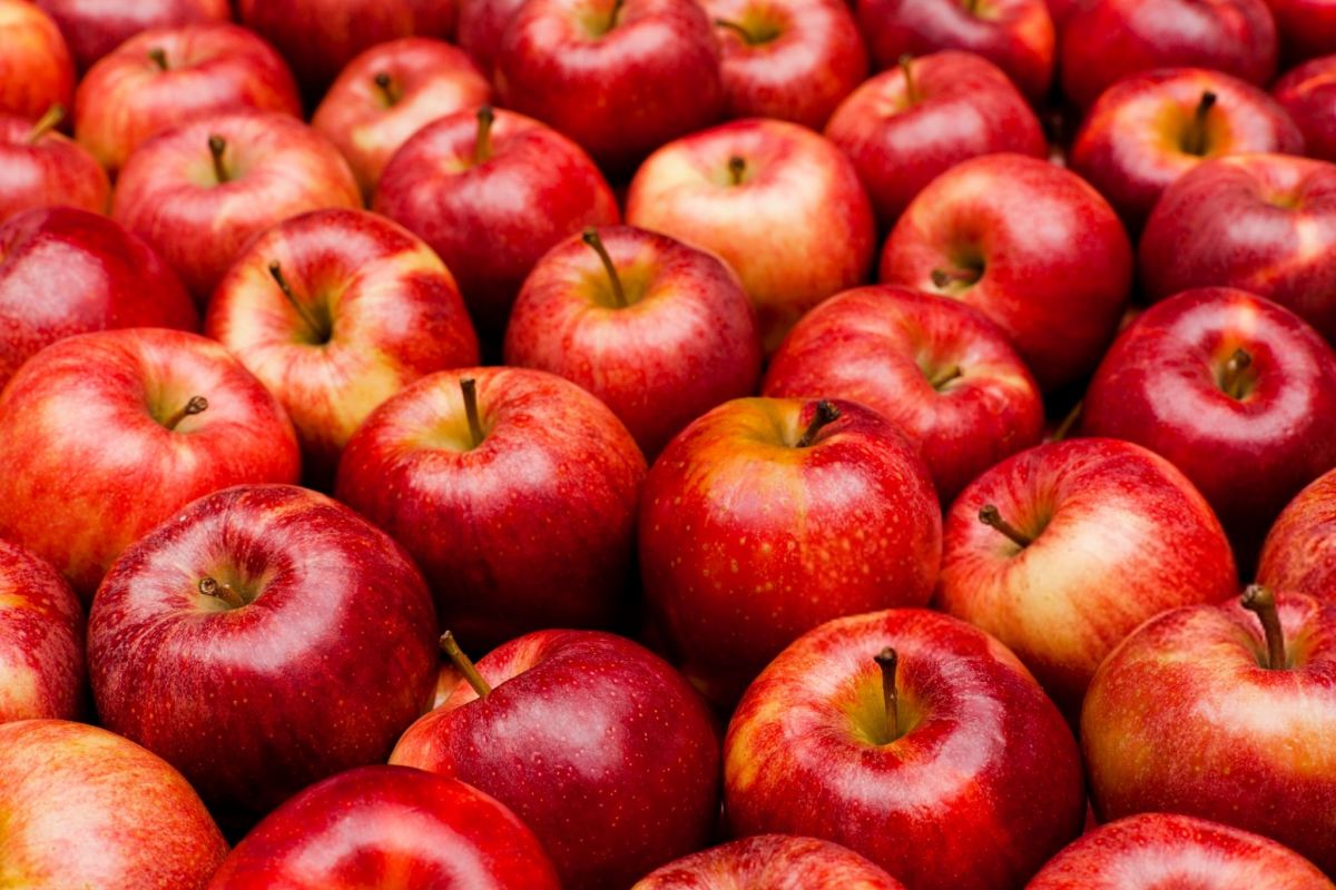 کالری و ارزش غذایی سیب