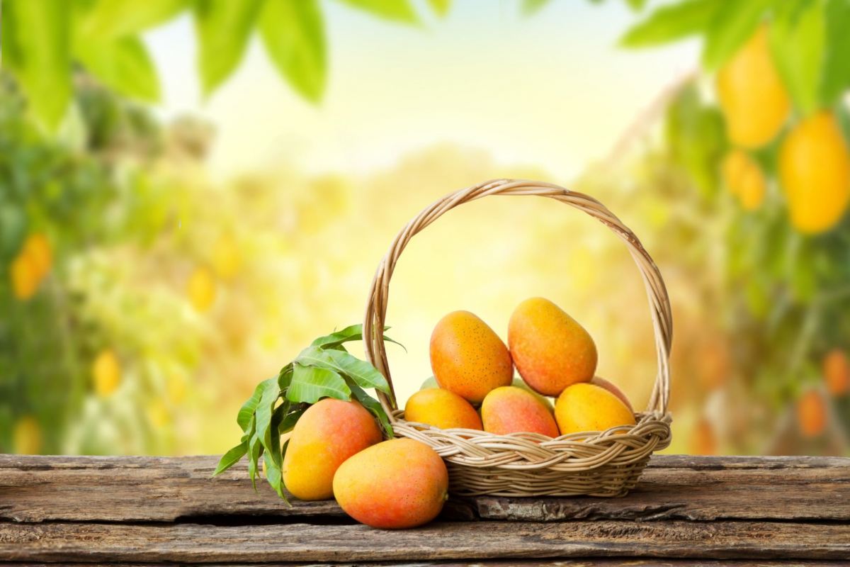 کالری و ارزش غذایی انبه