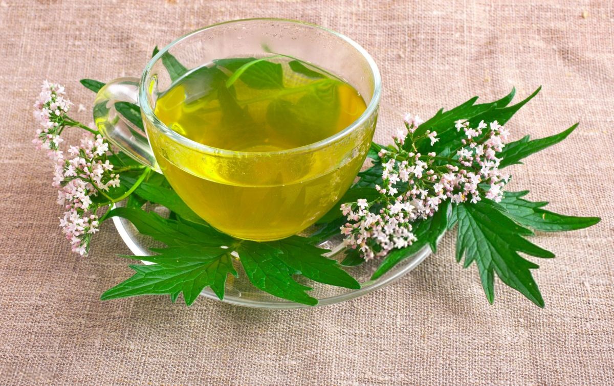 بهترین دمنوش های طبیعی برای کاهش فشار خون بالا