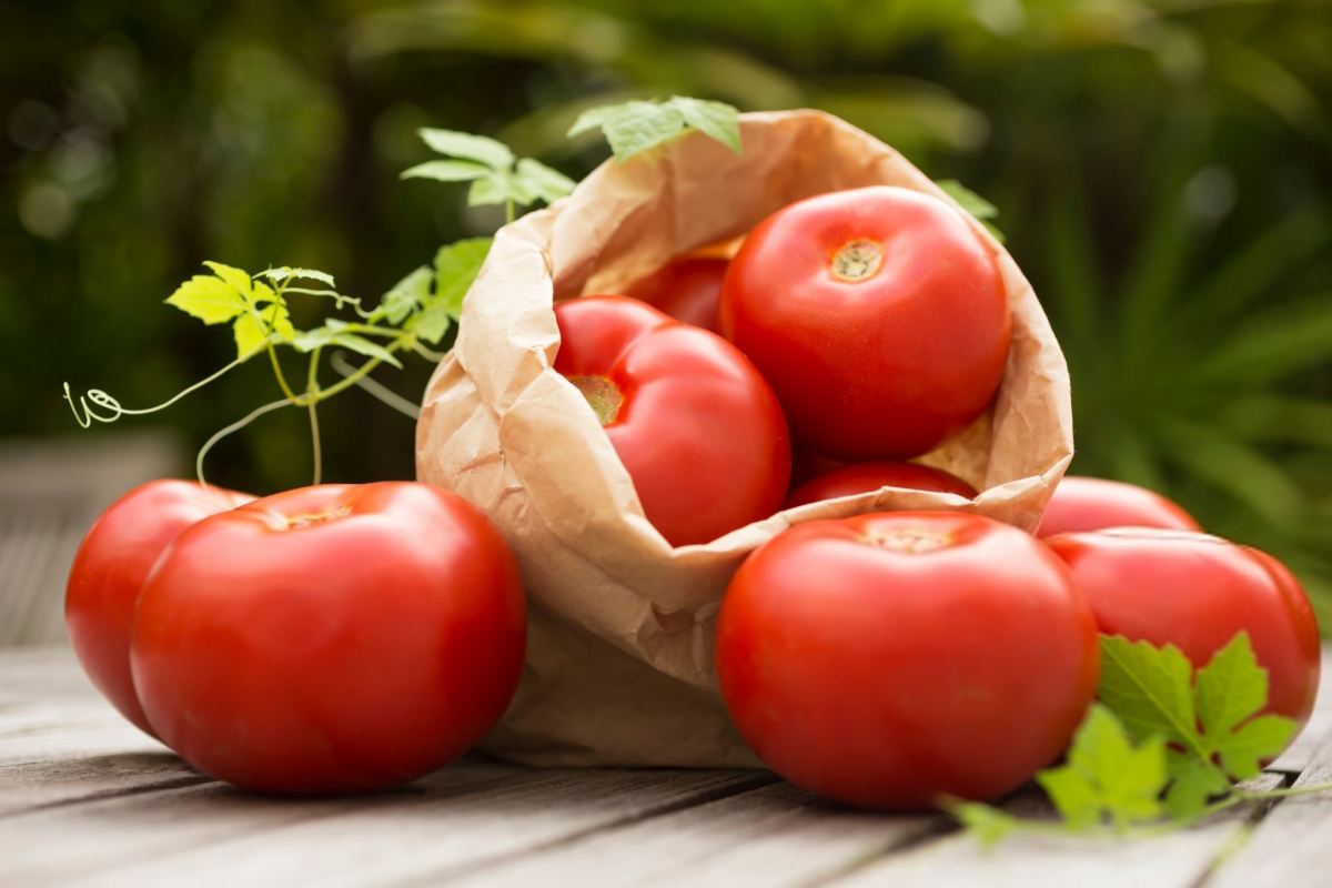کالری و ارزش غذایی گوجه فرنگی