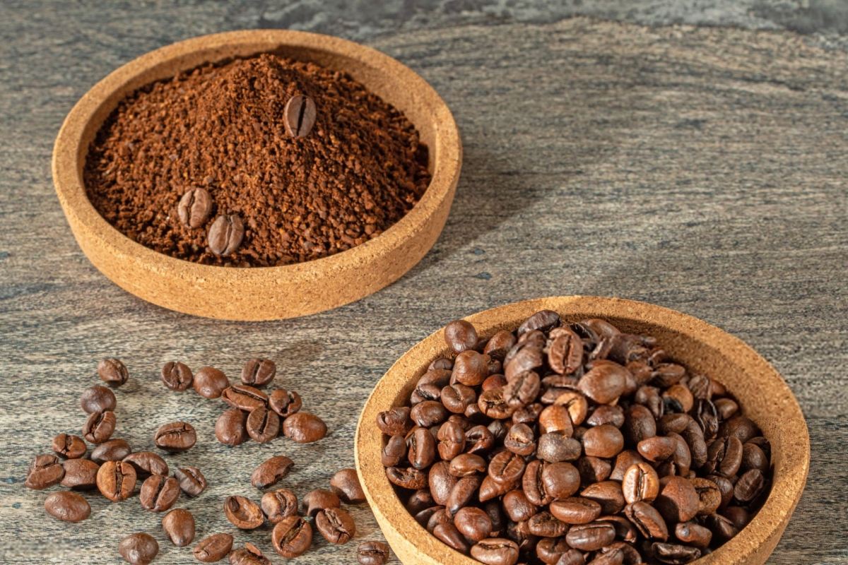 بهترین ترکیب قهوه عربیکا و روبوستا