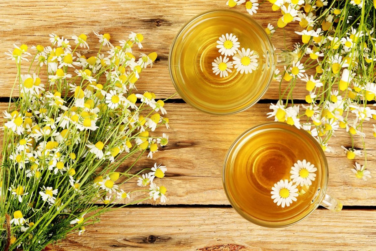طرز تهیه دمنوش بابونه