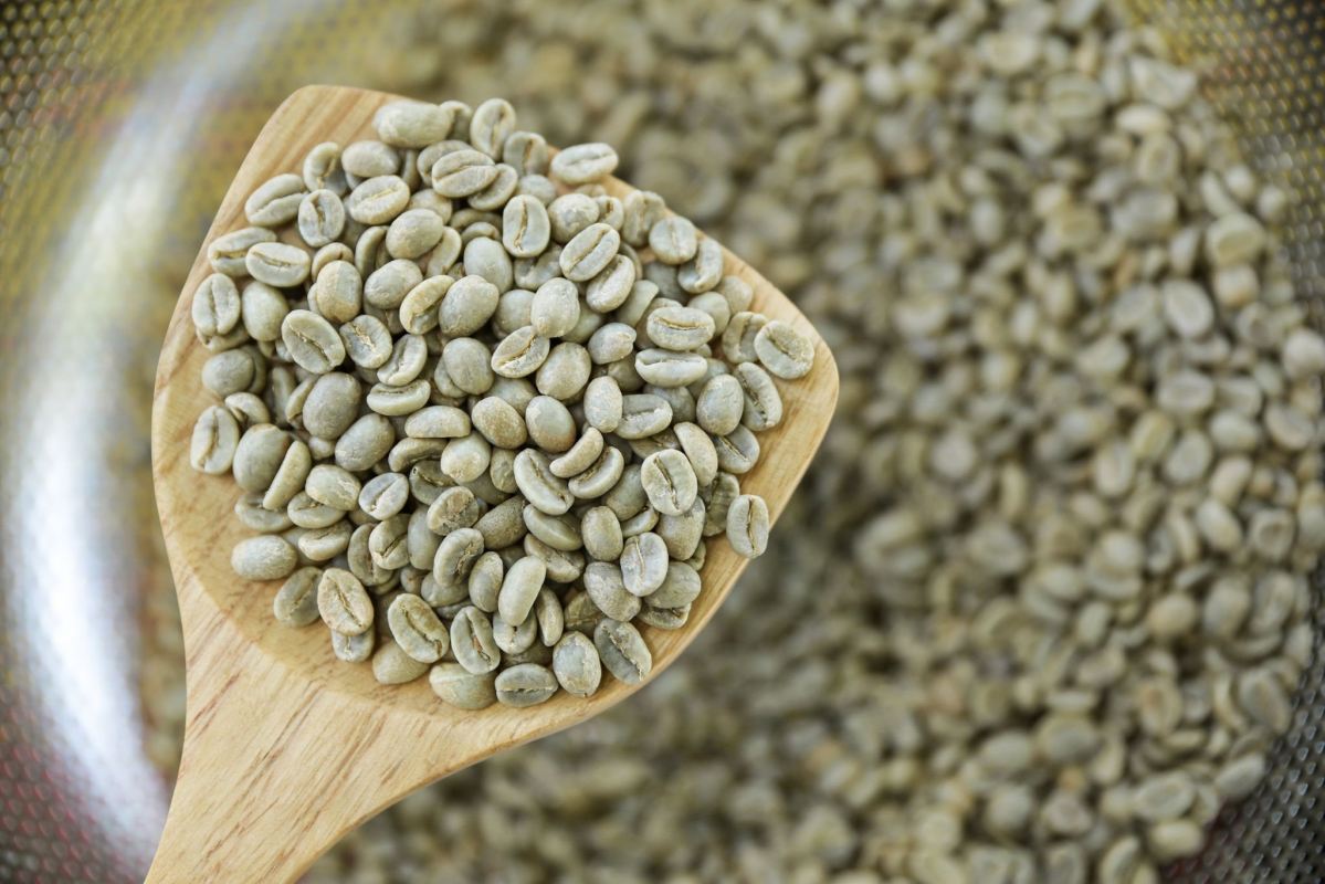 خواص و مضرات قهوه سبز
