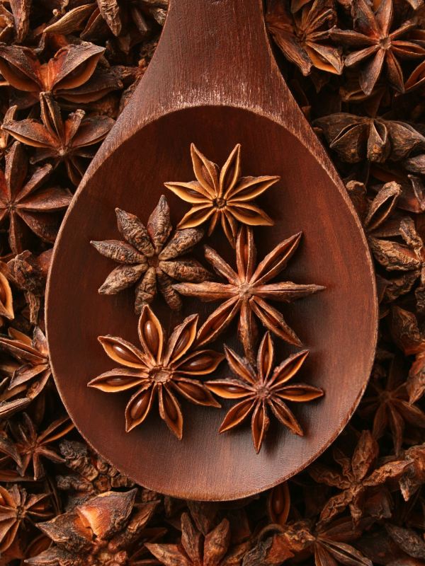 خواص بادیان برای بدن