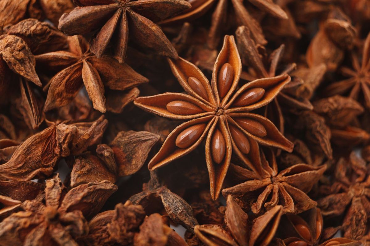 خواص بادیان برای بدن