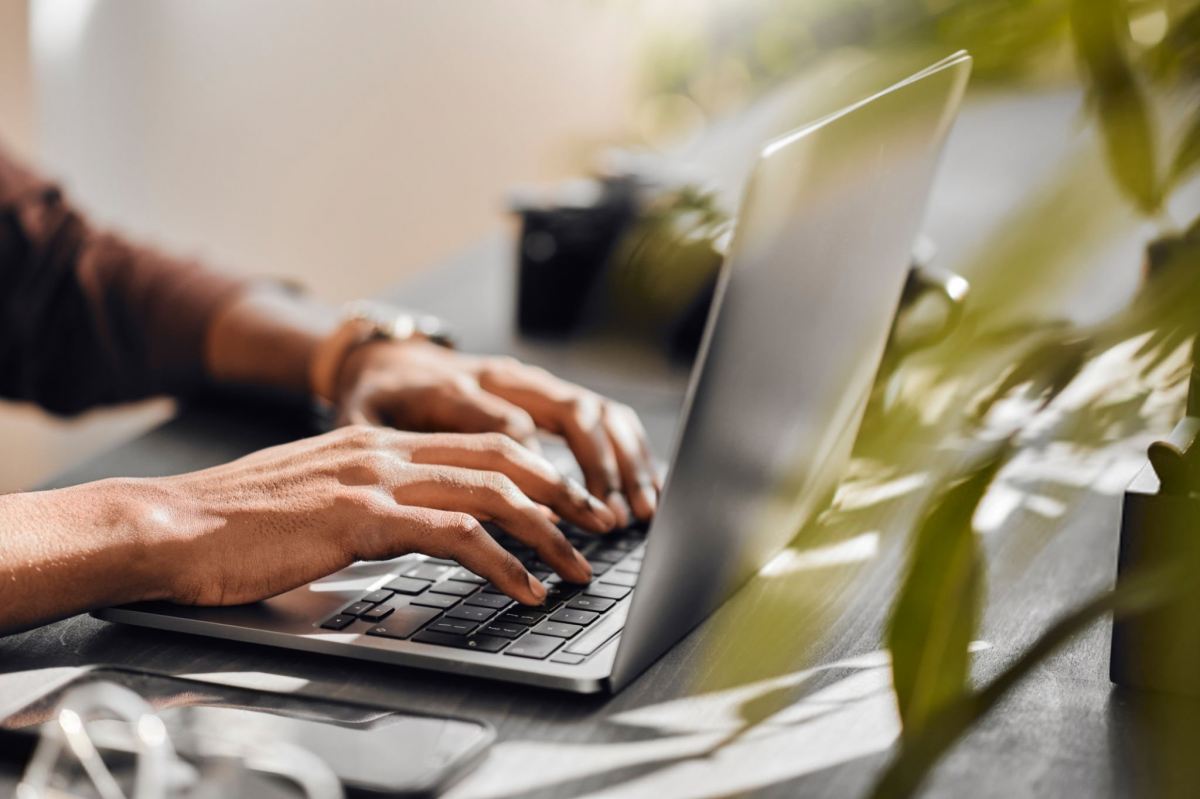 گیاه مناسب برای میز کار