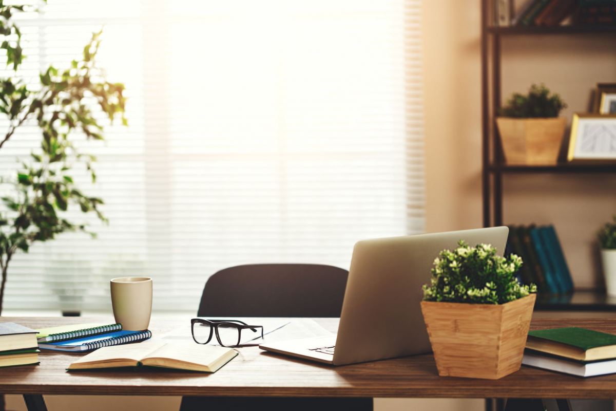 گیاه مناسب برای میز کار