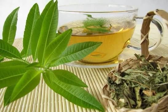 دمنوش به لیمو برای چه کسانی مضر است؟