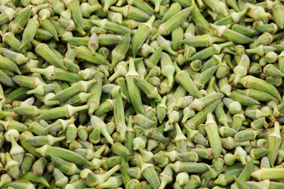 خواص بامیه برای لاغری