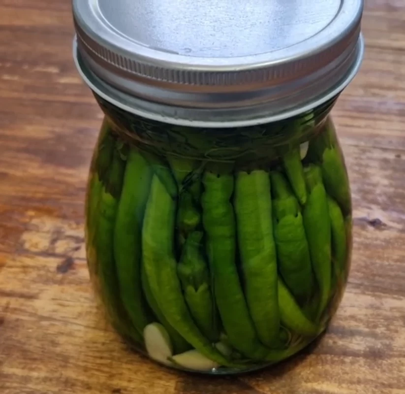 طرز تهیه ترشی فلفل سبز