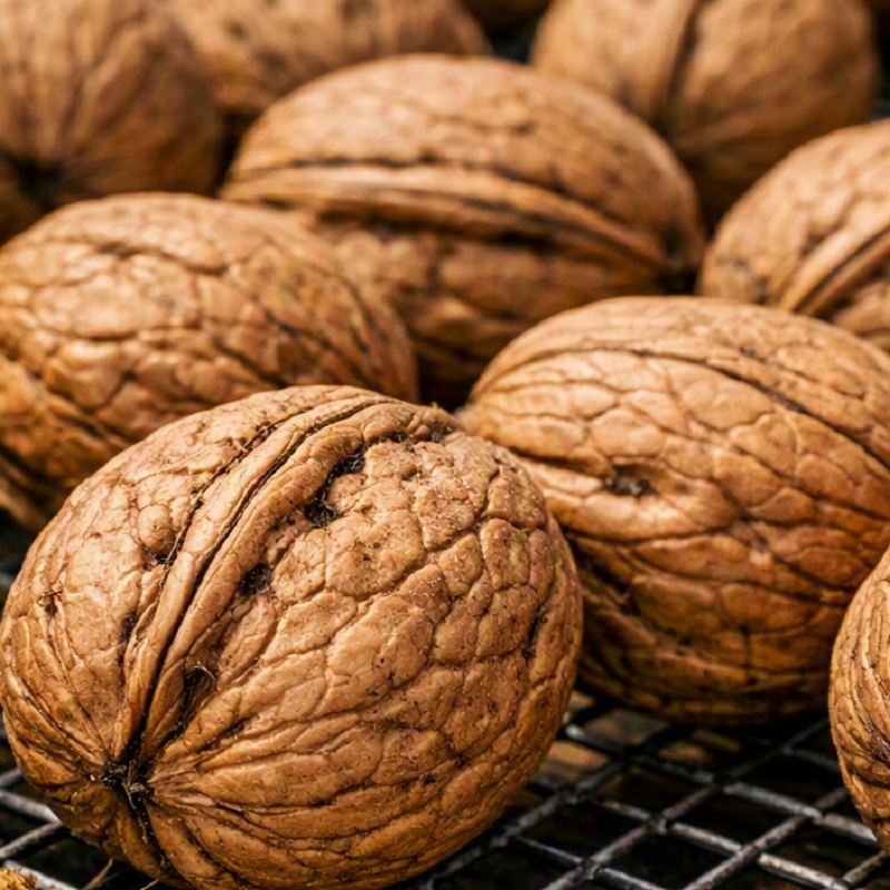 چگونه گردوی تازه را بدون کپک خشک کنیم؟