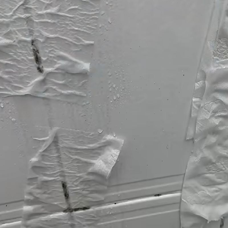 چرا از دستمال روی محل کپک استفاده می شود