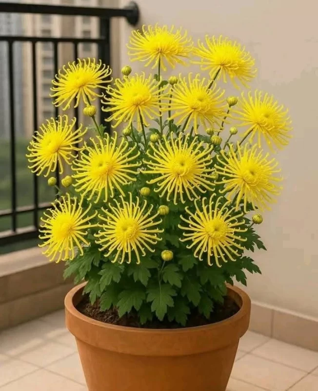 گلدان گل