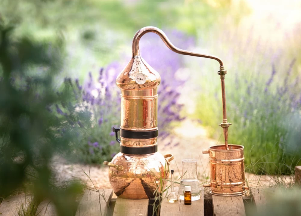 چگونه عرقیات گیاهی را در خانه تولید کنیم؟ درآمدزایی آسان!