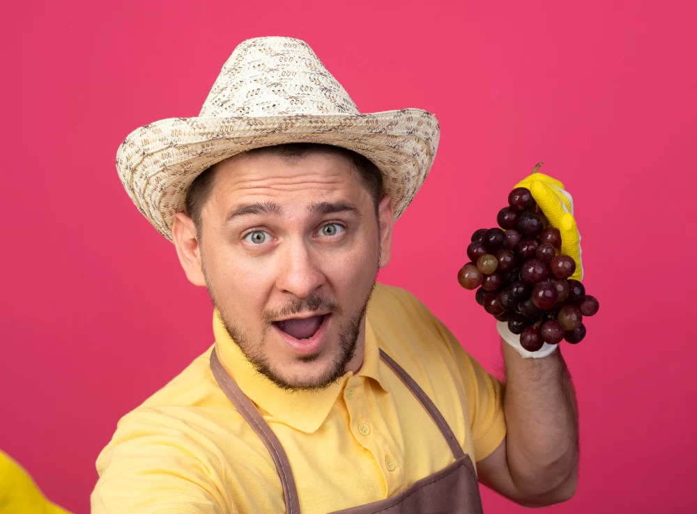 خواص انگور سیاه برای آقایان: ۷ فایده مهم برای مردان!