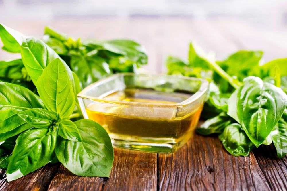 عرق ریحان برای چی خوبه؟ ۷ خاصیت اصلی و ۳ نکته ی احتیاطی!