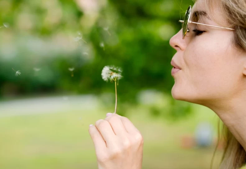 گل قاصدک برای چی خوبه؟ ۷ خاصیت گل قاصدک برای کبد و بدن!