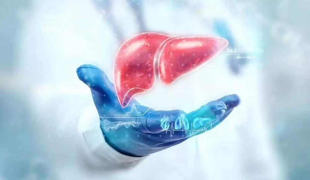 کبد چرب گرید ۳ چیست؟ + ۵ درمان خانگی کبد گرید ۳