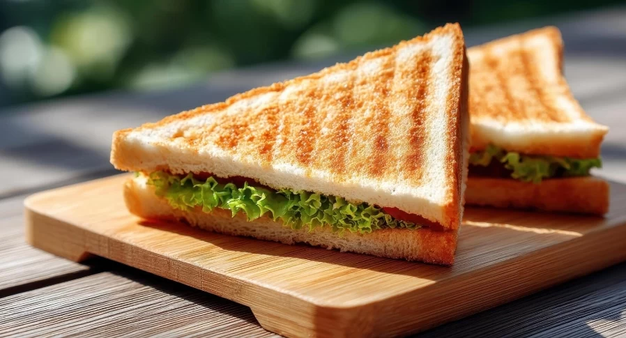 طرز استفاده از ساندویچ ساز؛ ۹ نکته ی طلایی!