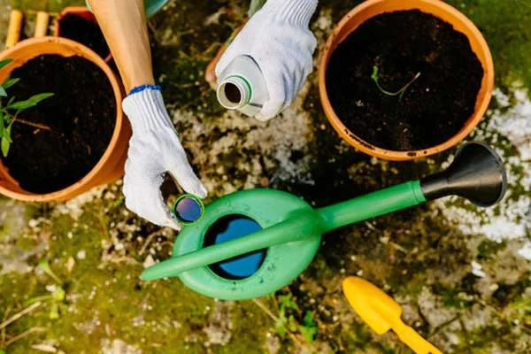 بهترین کود برای گیاهان آپارتمانی
